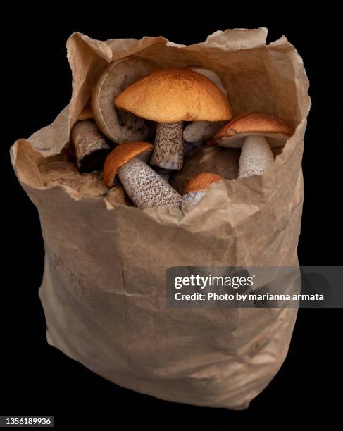 harvested birch bolete mushrooms in a paper bag - birch bolete stock pictures, royalty-free photos & images