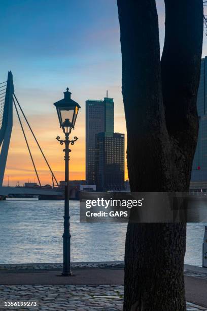 street lantern with rotterdam's characteristic erasmus bridge and modern office buildings on the kop van zuid in the background - street light post stock pictures, royalty-free photos & images