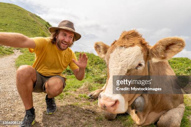 un randonneur prend un selfie avec une vache dans les montagnes, concept d’humour amusant - agriculteur selfie photos et images de collection