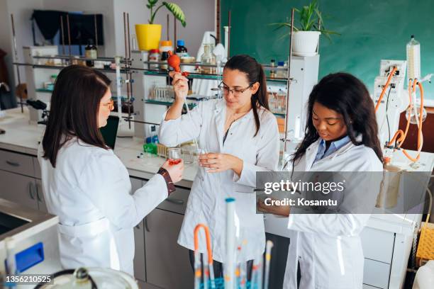 teamwork of women scientists who use a pipette when performing a scientific experiment. - physicist stock pictures, royalty-free photos & images