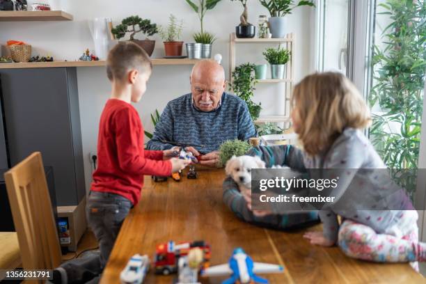 abuelo y niños sentados en la mesa y jugando con juguetes mientras el lindo perro se acuesta en la cama de la mascota sobre la mesa - bichon frise fotografías e imágenes de stock