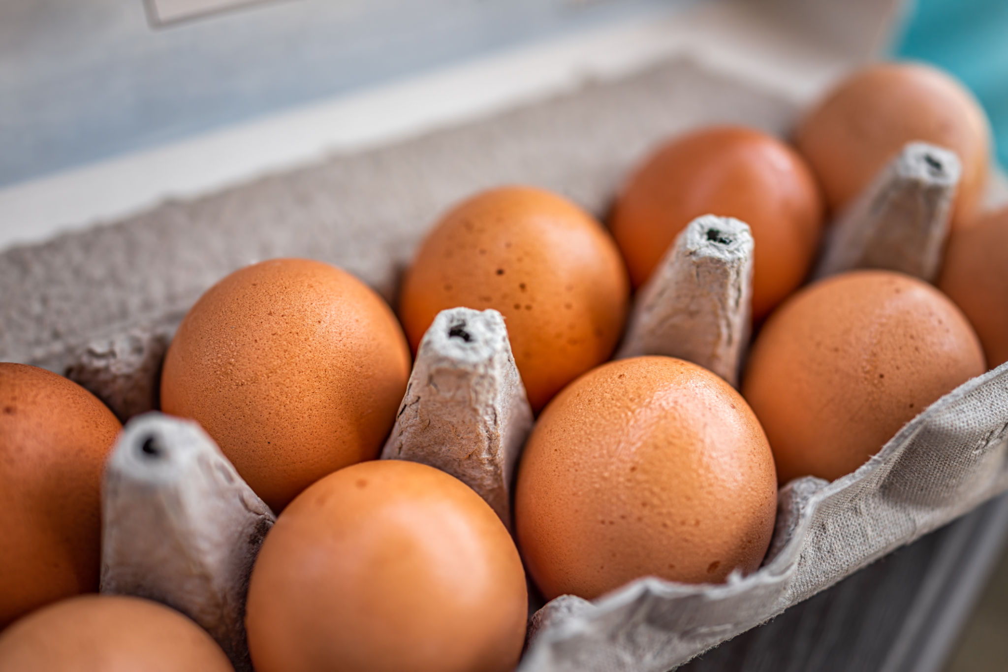eggs farm