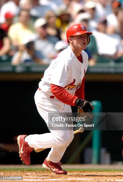 David Eckstein of the St. Louis Cardinals bats during a Major League Baseball spring training game on March 11, 2006 at Roger Dean Stadium in...