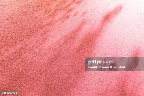 shadow on pink concrete wall background - blak and white leaves fotografías e imágenes de stock