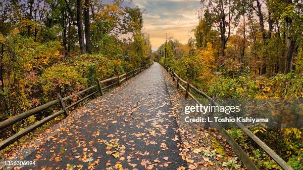 autumn on the trail - 馬里蘭州 個照片及圖片檔