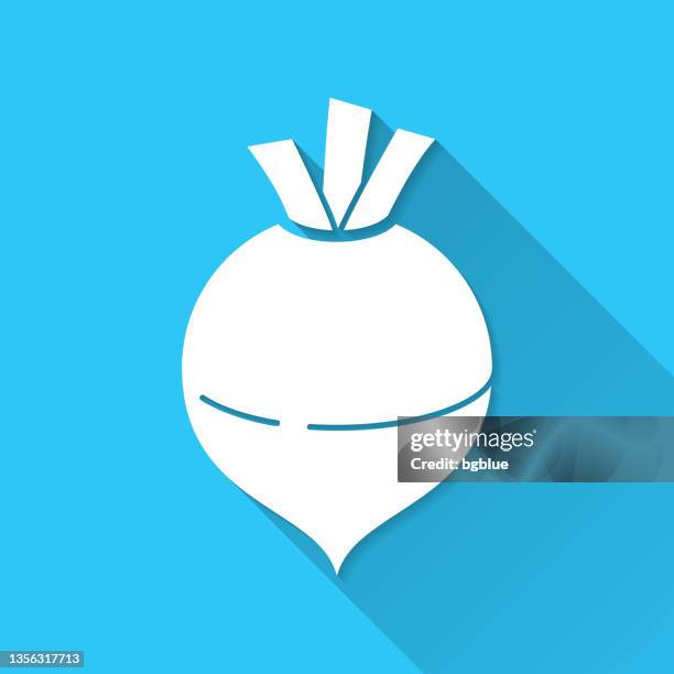 kohlrübe. icon auf blauem hintergrund - flat design mit langem schatten - rutabaga stock-grafiken, -clipart, -cartoons und -symbole