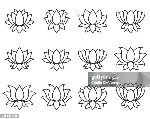 ilustraciones, imágenes clip art, dibujos animados e iconos de stock de conjunto de iconos de lotus - loto