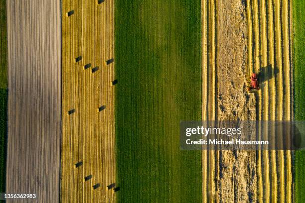 couleur et agriculture - swiss culture photos et images de collection