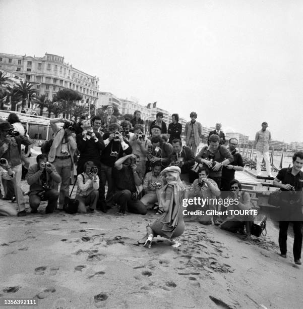L'actrice suédoise Ewa Aulin pose pour les photographes sur une plage lors du Festival de Cannes en mai 1971