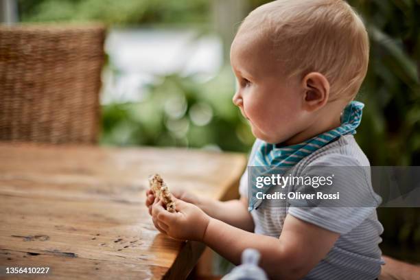 baby boy sitting at table eating cookie - linda oliver fotografías e imágenes de stock