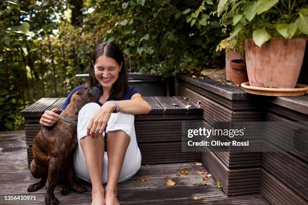 happy woman sitting with dog on terrace - terrasse grundstück stock-fotos und bilder