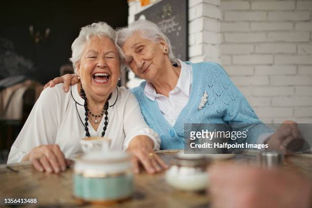 happy senior women enjoying time together indoors in café. - coffee meeting with friends imagens e fotografias de stock