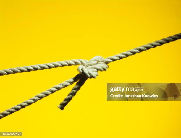 bowline knot - noeud coulant en huit photos et images de collection