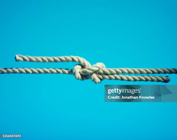 sheet bend knot - noeud coulant en huit photos et images de collection