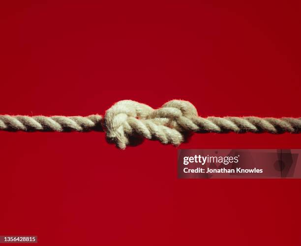 figure of eight knot - noeud coulant en huit photos et images de collection