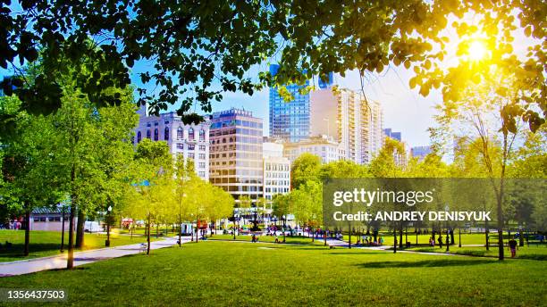 sunny common park. boston. - boston massachusetts foto e immagini stock