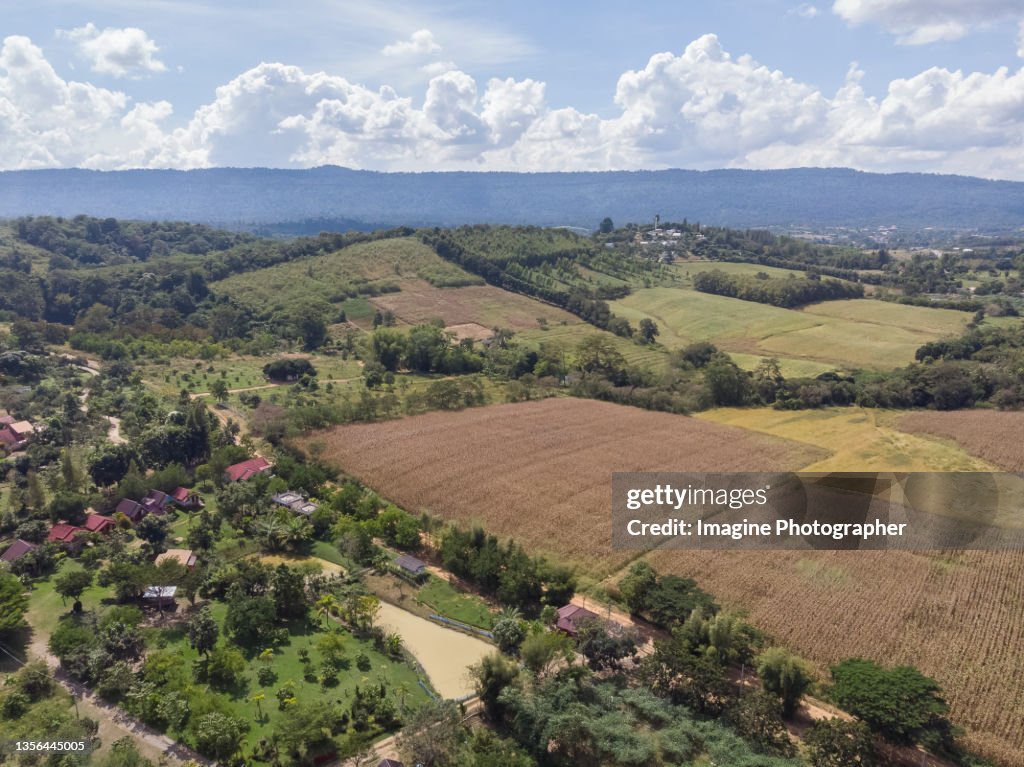 Aerial view, Mountain view and corn fields Wang Nam Khiao district.