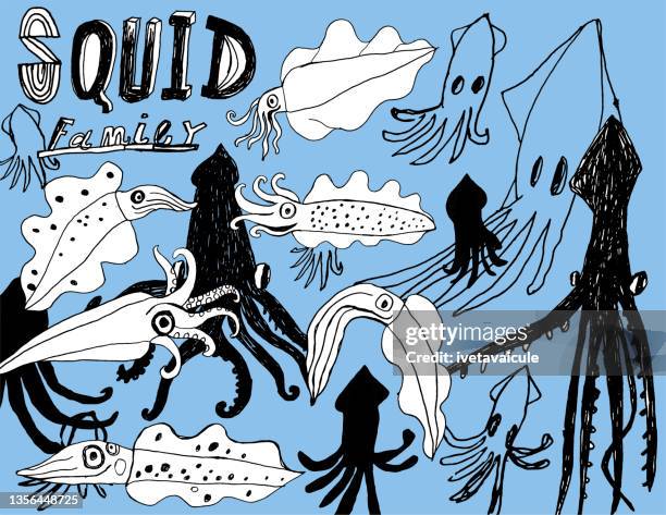a squid family - squid stock illustrations