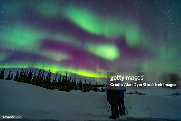 a couple watching the northern lights in canada. - manitoba stock pictures, royalty-free photos & images