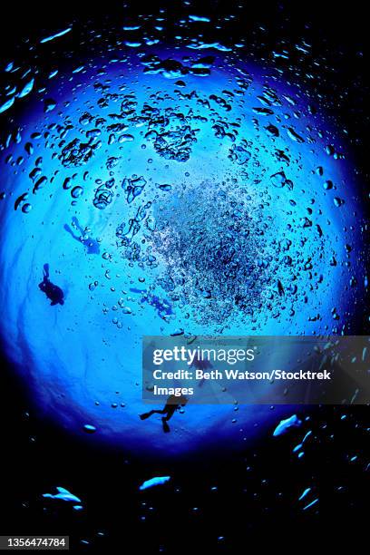 snell's window with scuba divers, blue ocean water, and bubbles in the philippines. - philippines stock pictures, royalty-free photos & images