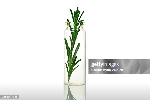 organic, bio cosmetics healthy concept with bottle with green rosemary leaves on white background. - rosmarin bildbanksfoton och bilder