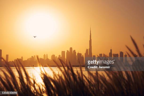 dubai skyline at beautiful sunset - goldene stunde stock-fotos und bilder