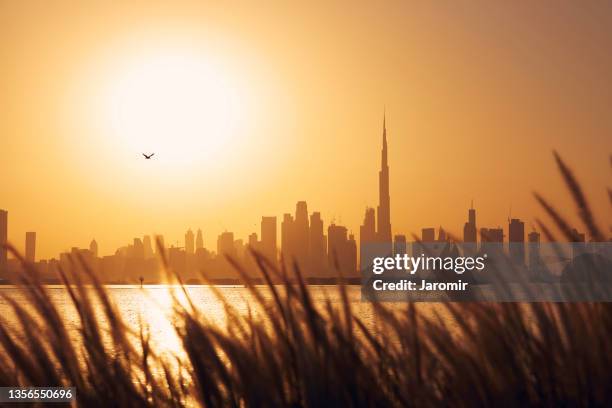 dubai skyline at beautiful sunset - golden hour stock pictures, royalty-free photos & images