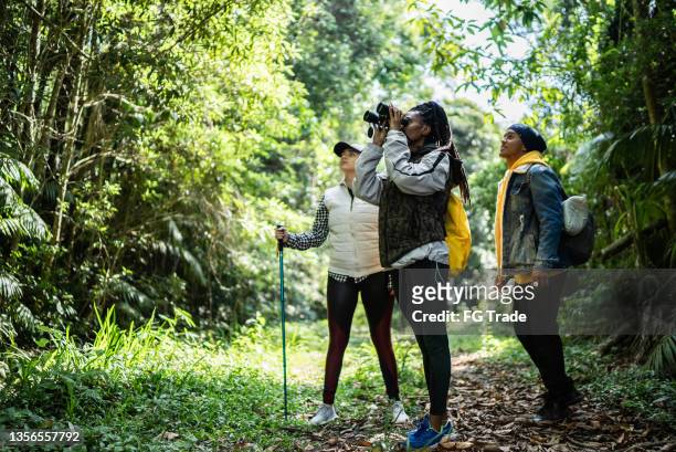 amigos usando binoculares en un bosque - turismo ecológico fotografías e imágenes de stock