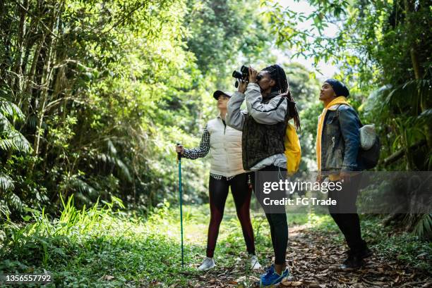 friends using binoculars in a forest - duurzaam toerisme stockfoto's en -beelden