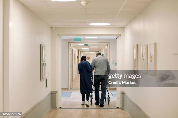 rear view of female nurse walking with senior man in corridor at nursing home - seniorenhuis stockfoto's en -beelden