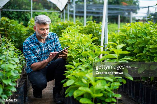 man growing plants using technology - digital tablet - digital farming stock pictures, royalty-free photos & images