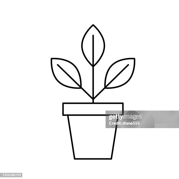 ilustrações, clipart, desenhos animados e ícones de ícone da linha fina do jardim de plantas em vasos com traço editável na base transparente - vaso de flor