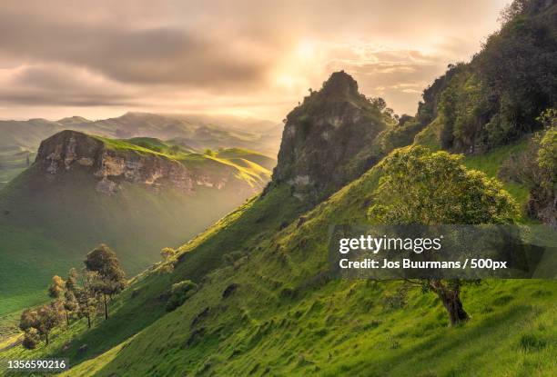 a goats view,scenic view of mountains against sky during sunset,havelock north,new zealand - neuseeland stock-fotos und bilder