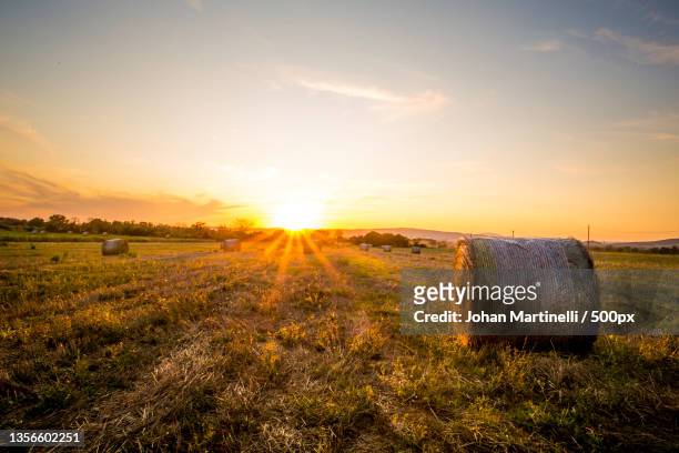 rural sunset,scenic view of field against sky during sunset,italy - heuballen stock-fotos und bilder