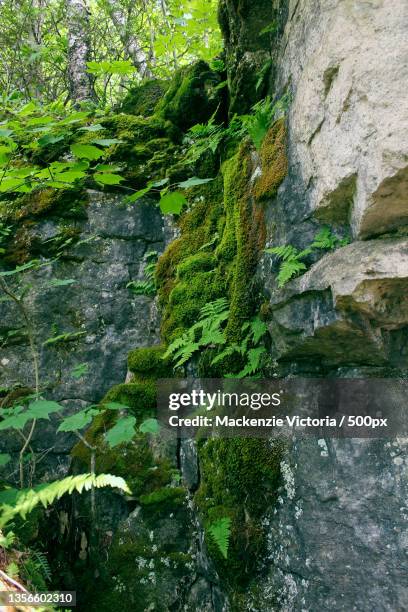 Mackenzie Rock Photos and Premium High Res Pictures - Getty Images