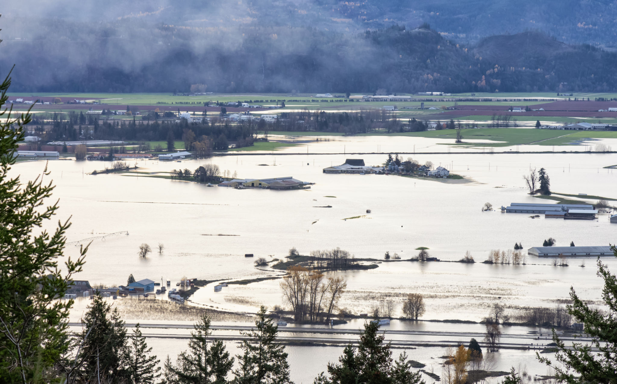 abbotsford weather