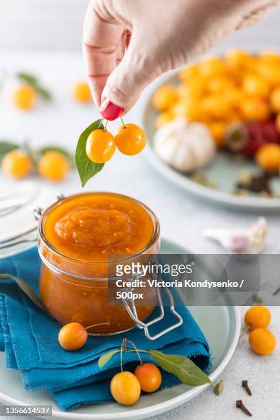 woman hand holds yellow cherry plum over glass jar of sauce chutney - mirabelle plum stock pictures, royalty-free photos & images