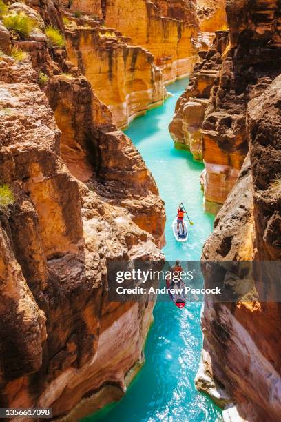 dos personas en tablas de remo de pie en havasu creek, arizona. - adventure fotografías e imágenes de stock