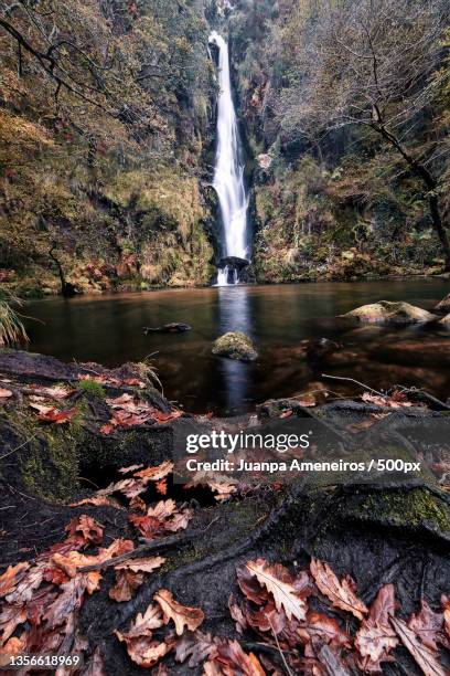 pozo da ferida,scenic view of waterfall in forest,vivero,lugo,spain - vivero - fotografias e filmes do acervo