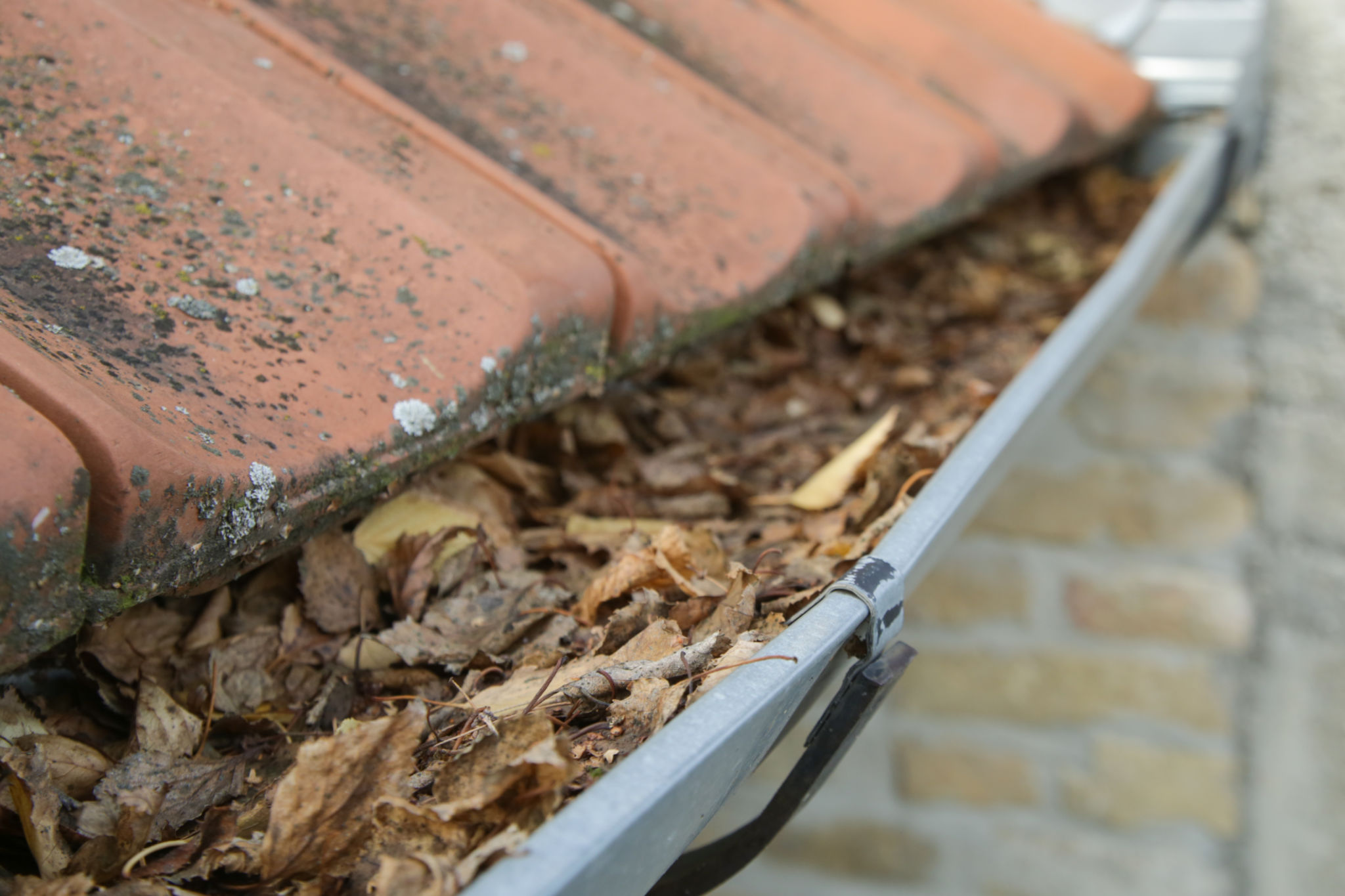 Gutter full of old autumn leaves and dirt. Gutter full of old autumn leaves and dirt.