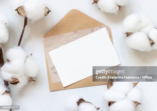 blank card and envelope on white table with cotton flowers top view - card mock up stock pictures, royalty-free photos & images