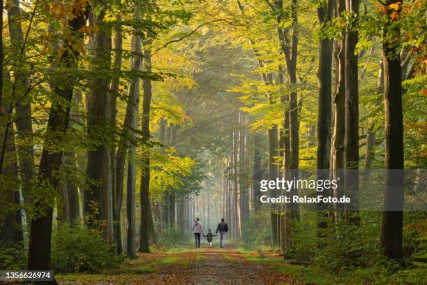 rear view on young family walking on avenue in autumn colors - trail stockfoto's en -beelden