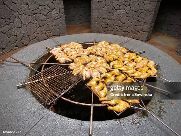 volcano chicken - timanfaya national park stock pictures, royalty-free photos & images