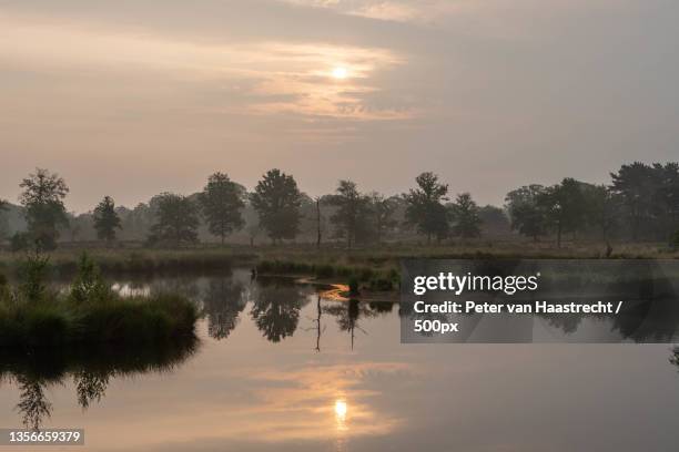 national park overasseltse vennen,scenic view of lake against sky during sunset,gelderland,netherlands - gelderland stock pictures, royalty-free photos & images