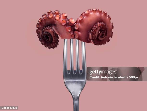 zodiac,close-up of chocolate cake against pink background,bari,italy - tentacle imagens e fotografias de stock