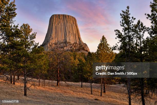 devils tower,trees on field against sky during sunset,wyoming,united states,usa - devils tower stock pictures, royalty-free photos & images