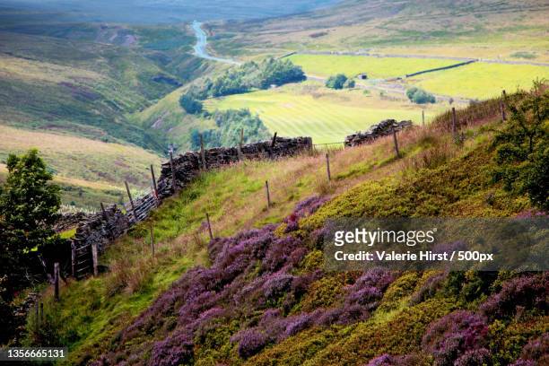 into the distance,high angle view of agricultural field,marsden,huddersfield,united kingdom,uk - west yorkshire stockfoto's en -beelden