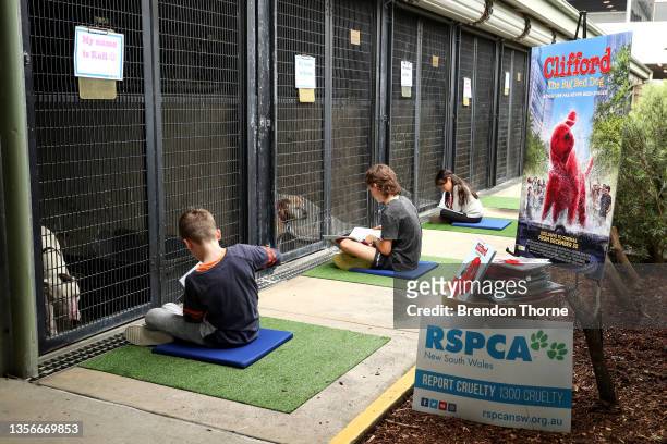 Volunteers read CLIFFORD THE BIG RED DOG books to RSPCA NSW shelter animals seeking their fur-ever home on December 01, 2021 in Sydney, Australia.