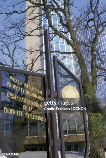 Organisation Mondiale De La Propri t Intellectuelle Photos And Premium organisation-mondiale-de-la-propri-t-intellectuelle-photos-and-premium