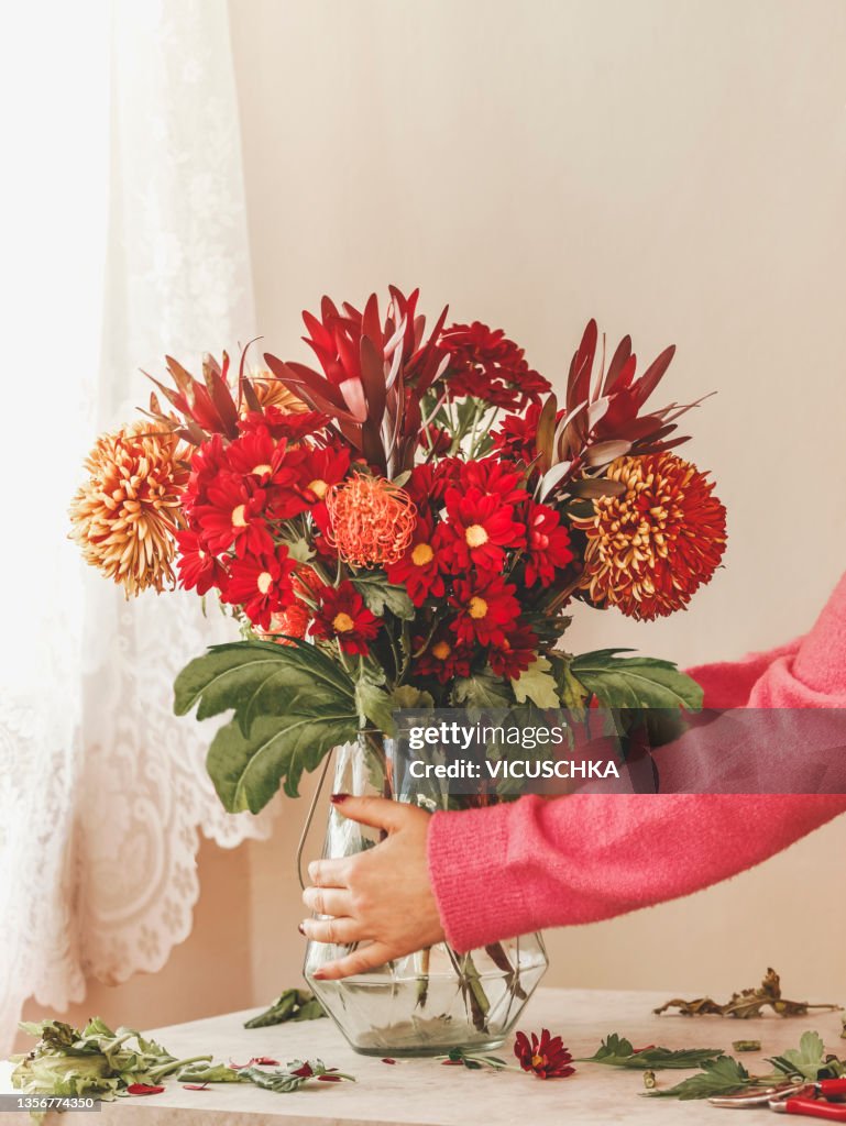 Woman hands preparing beautiful red flower bouquet in glass vase on kitchen table at wall and window background with natural light